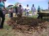 Atelier de démonstration sur le compostage en lasagne sur un jardin potager en Guadeloupe. Ingrédients : fumier de cabri et feuilles d'Acacia. Hmm ! Organisé par l'association AssoFWI et INRAE.