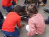 Découverte des petites bêtes dans nos bacs
