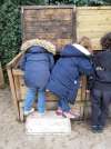 Qu'y a t-il dans les bacs de compostage ?