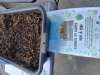 Rjp tous au compost 